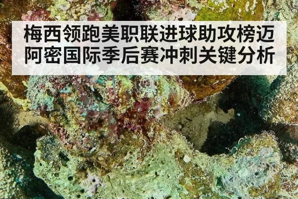 梅西领跑美职联进球助攻榜迈阿密国际季后赛冲刺关键分析